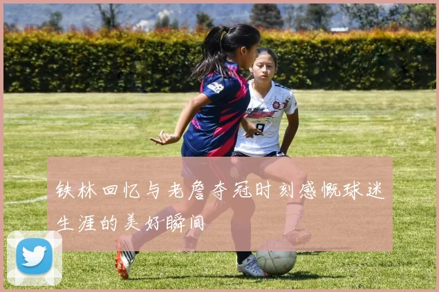 铁林回忆与老詹夺冠时刻感慨球迷生涯的美好瞬间