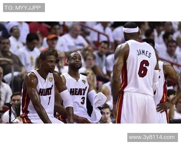 鲍威尔回忆韦德比赛风格自信称自己融入热火文化 鲍威尔回忆韦德比赛风格自信称自己融入热火文化